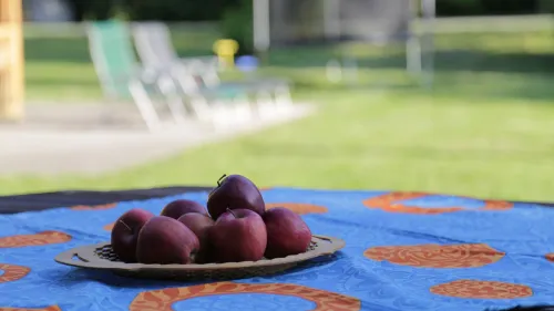 11. galéria kép Fónagy Apartmanok és Grill Műhely